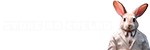 Logo da loja Store do Coelho