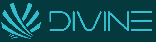 Logo da loja Divine