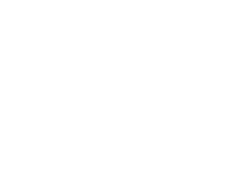 Logo da loja Echoes Store