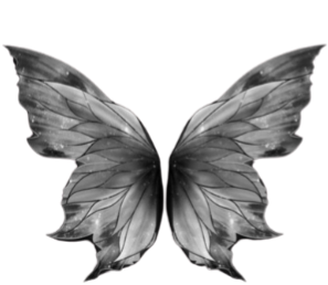 Logo da loja Metanoia