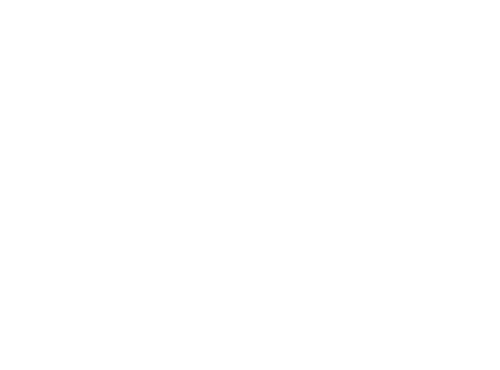 Logo da loja Fly AKA Mosca
