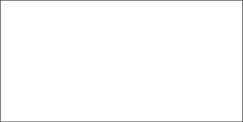 Logo da loja NAS Store