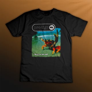 Plus Size Prodigy - The Fat of the Land