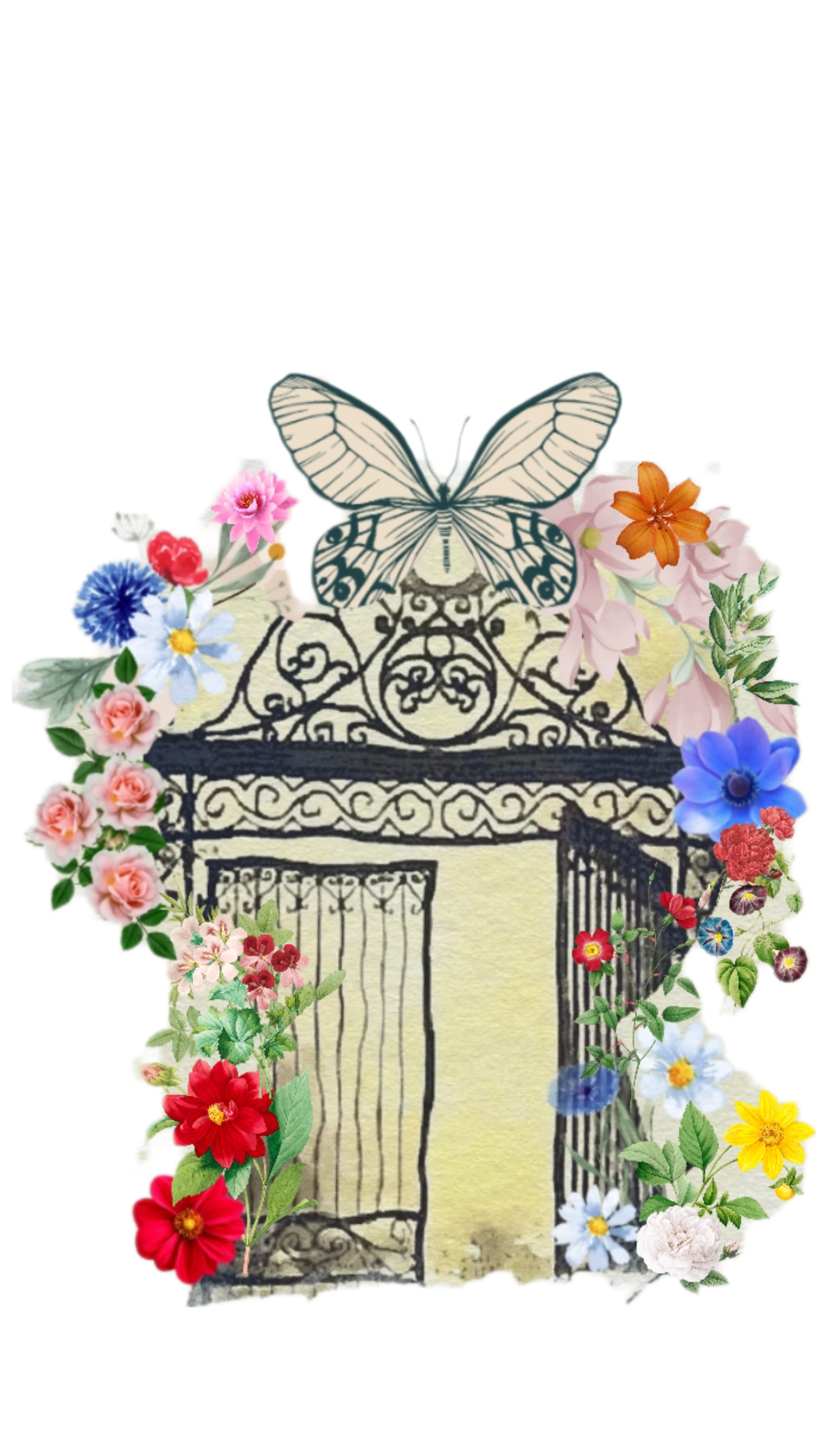 Nome do produto: T Shirt O Jardim Secreto