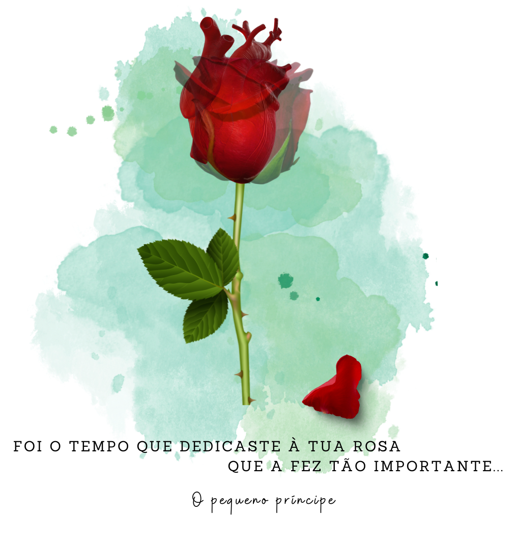 Nome do produto: T-shirt Plus size a Rosa Pequeno Príncipe