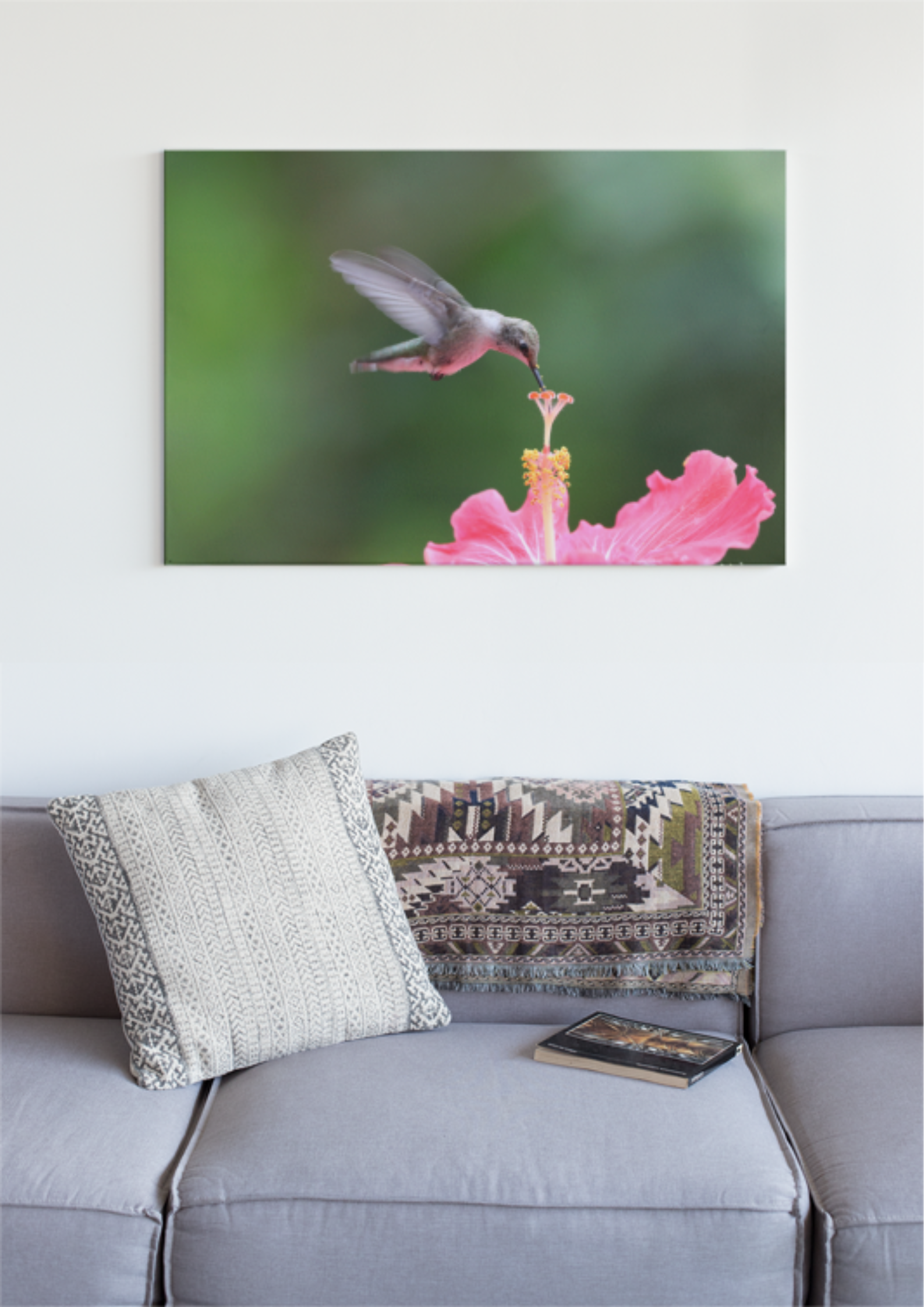 Nome do produto: POSTER BEIJA FLOR