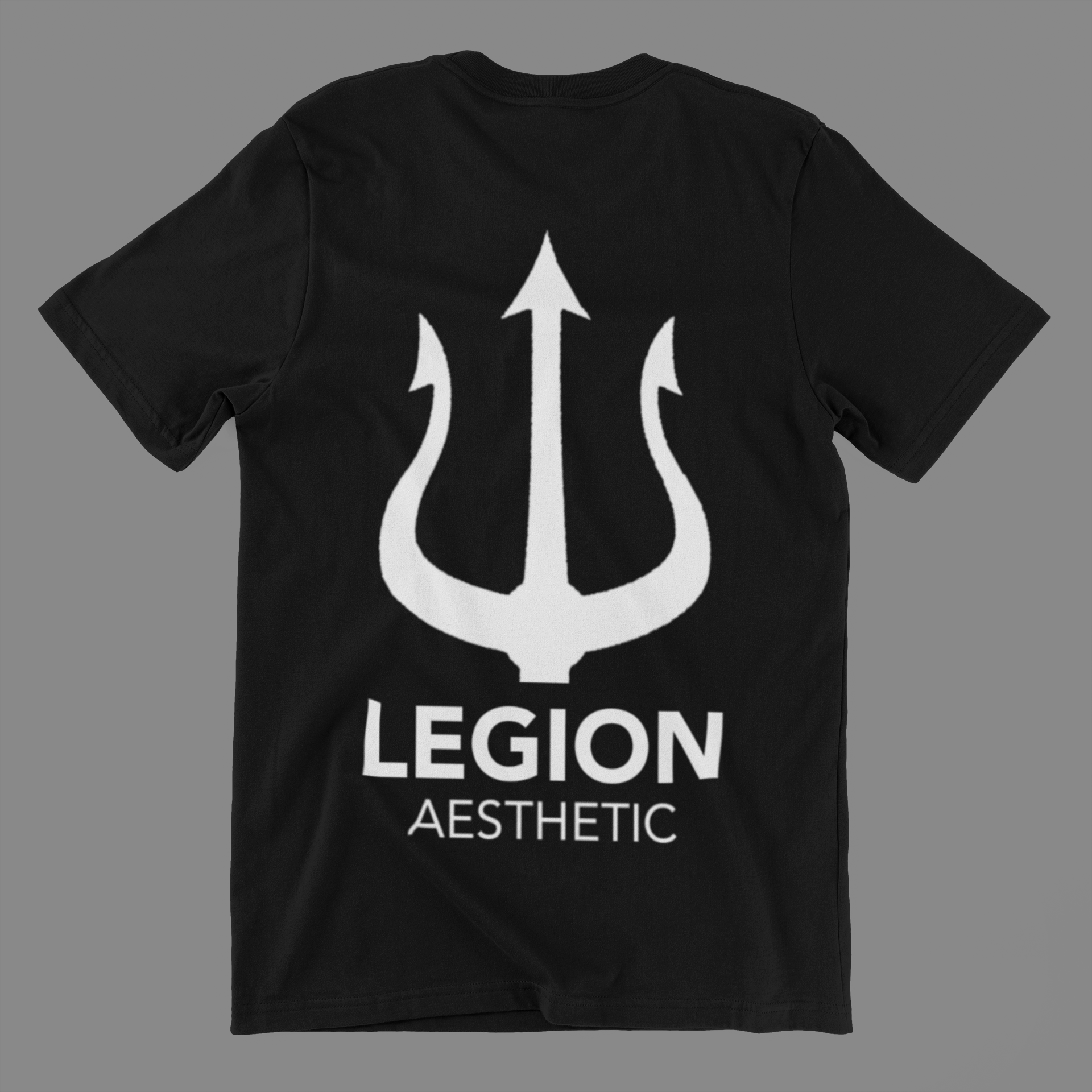 Nome do produto: Camisa Legion Aesthetic 03