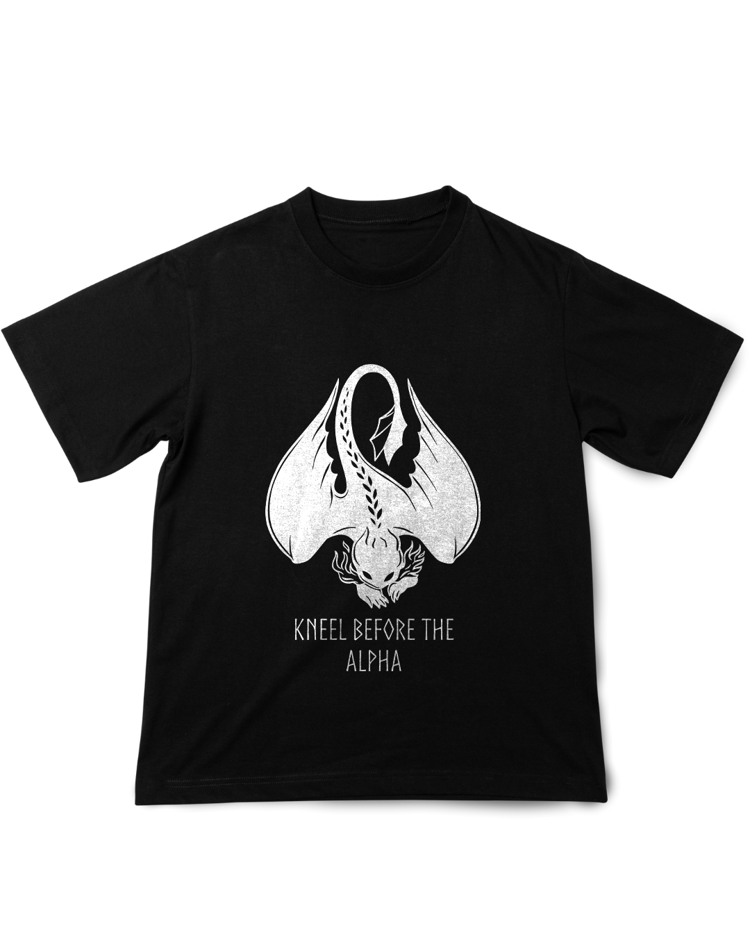 Nome do produto: Camisa Como Treinar seu Dragão Banguela