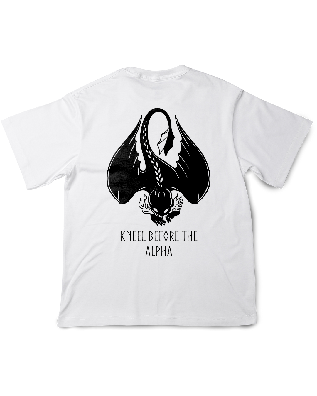 Nome do produto: Camisa Como Treinar seu Dragão Banguela