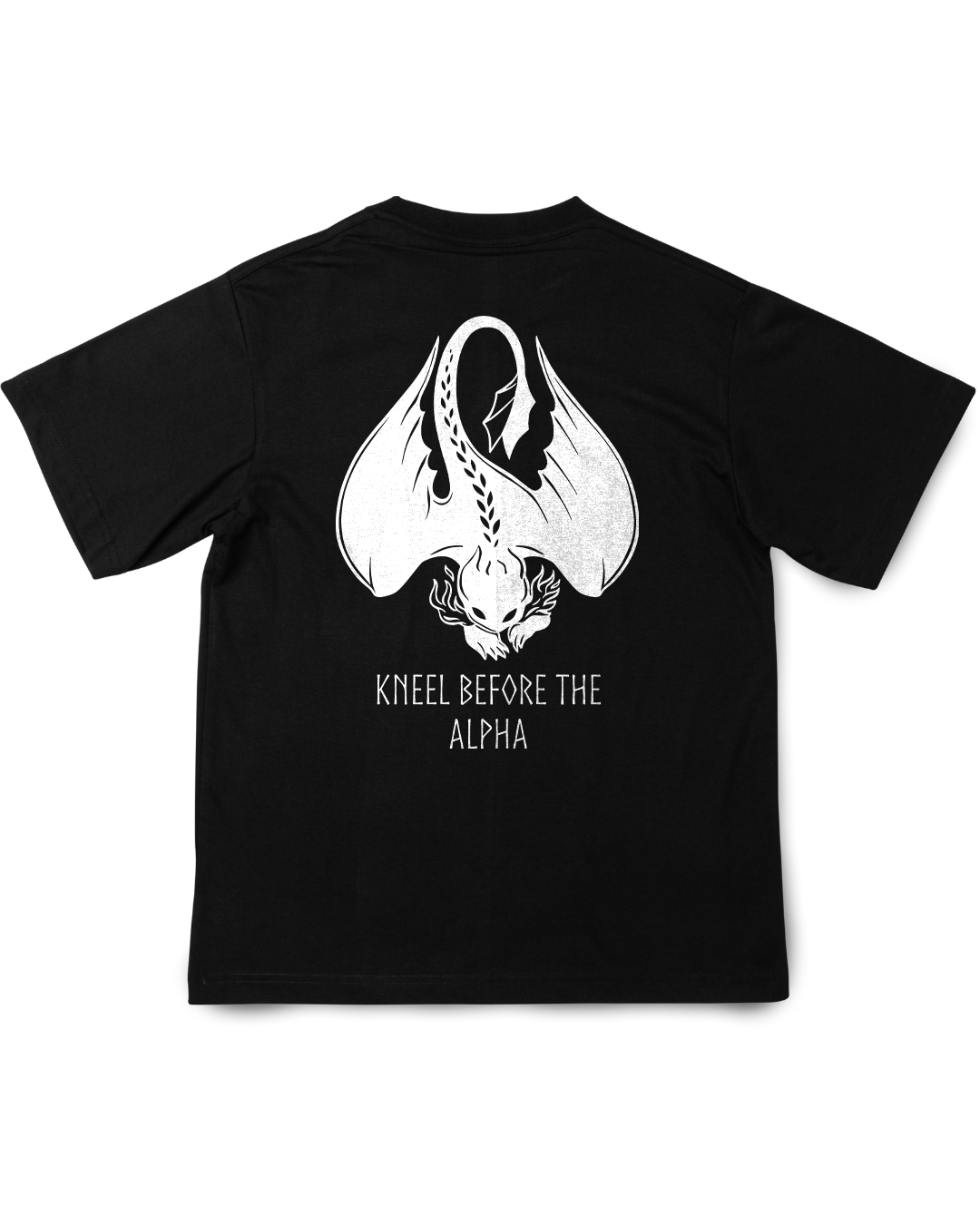 Nome do produto: Camisa Como Treinar seu Dragão Banguela