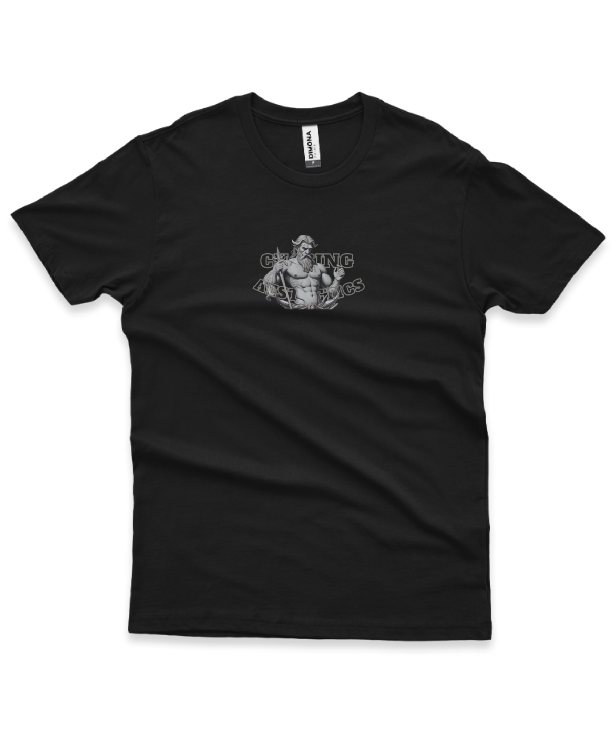 Camiseta Chasing Aesthetic's