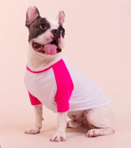 Nome do produto: O LEÃO E O CORDEIRO - CAMISETA - PET