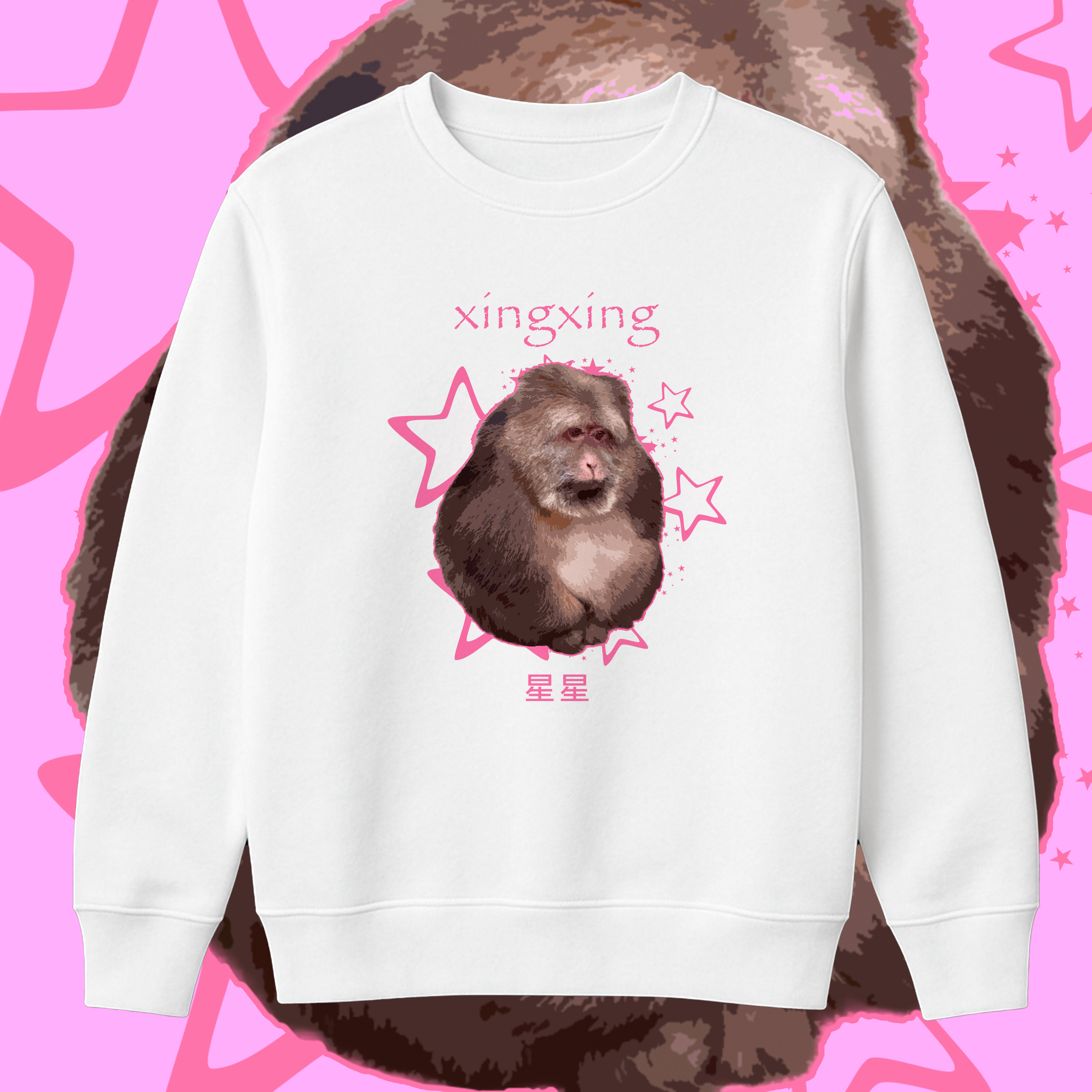 Moletom Blusão 'XINGXING'