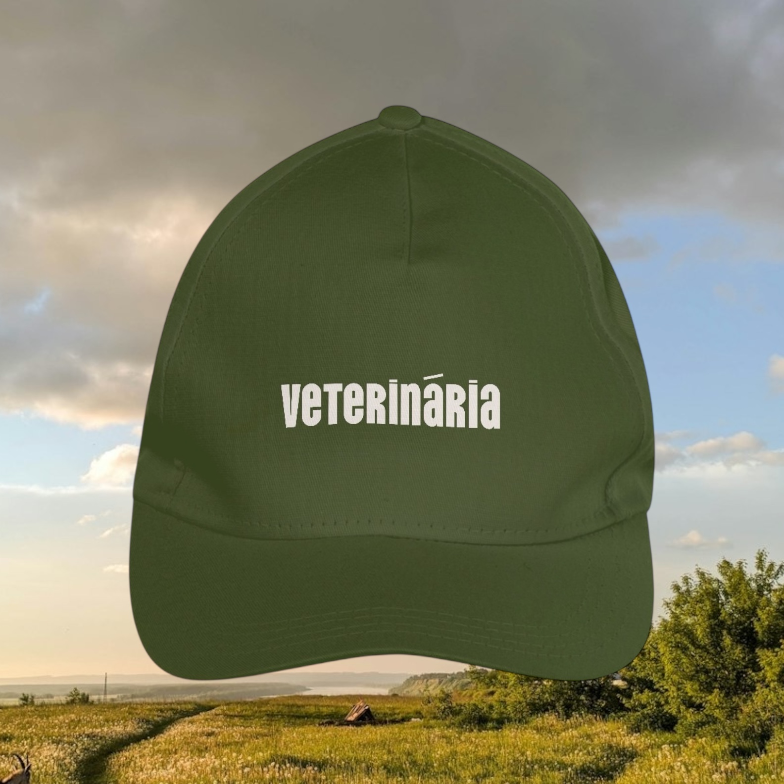 boné  • veterinária