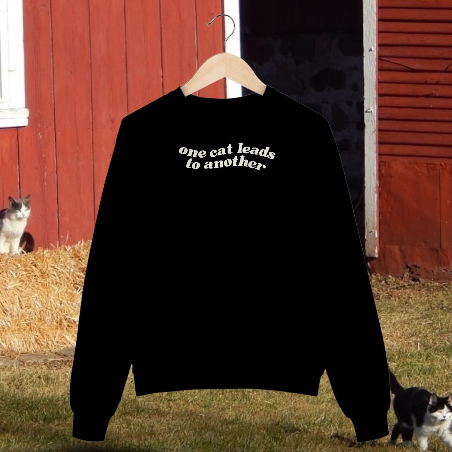 moletom prime • one cat leads to another 