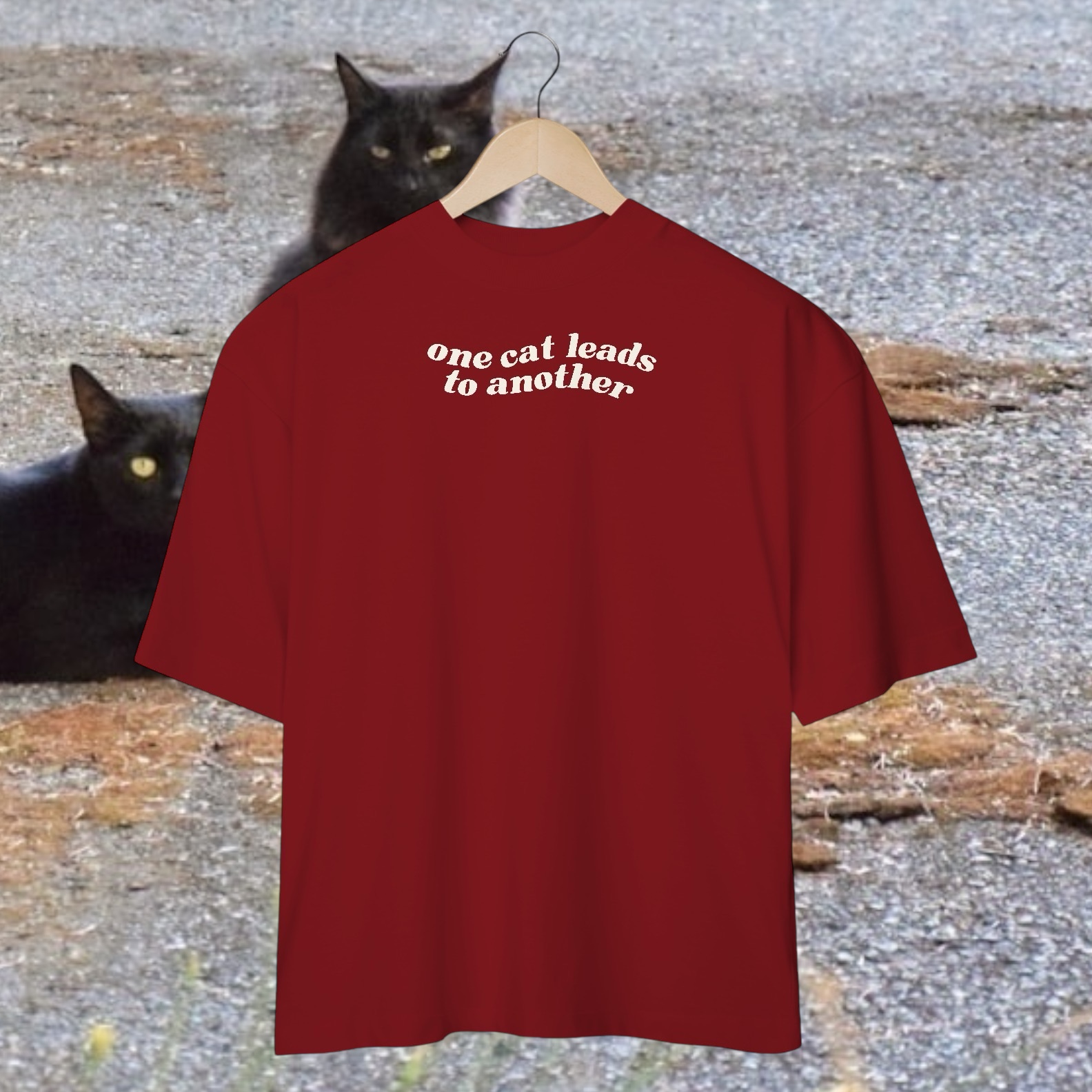 oversized • one cat leads another