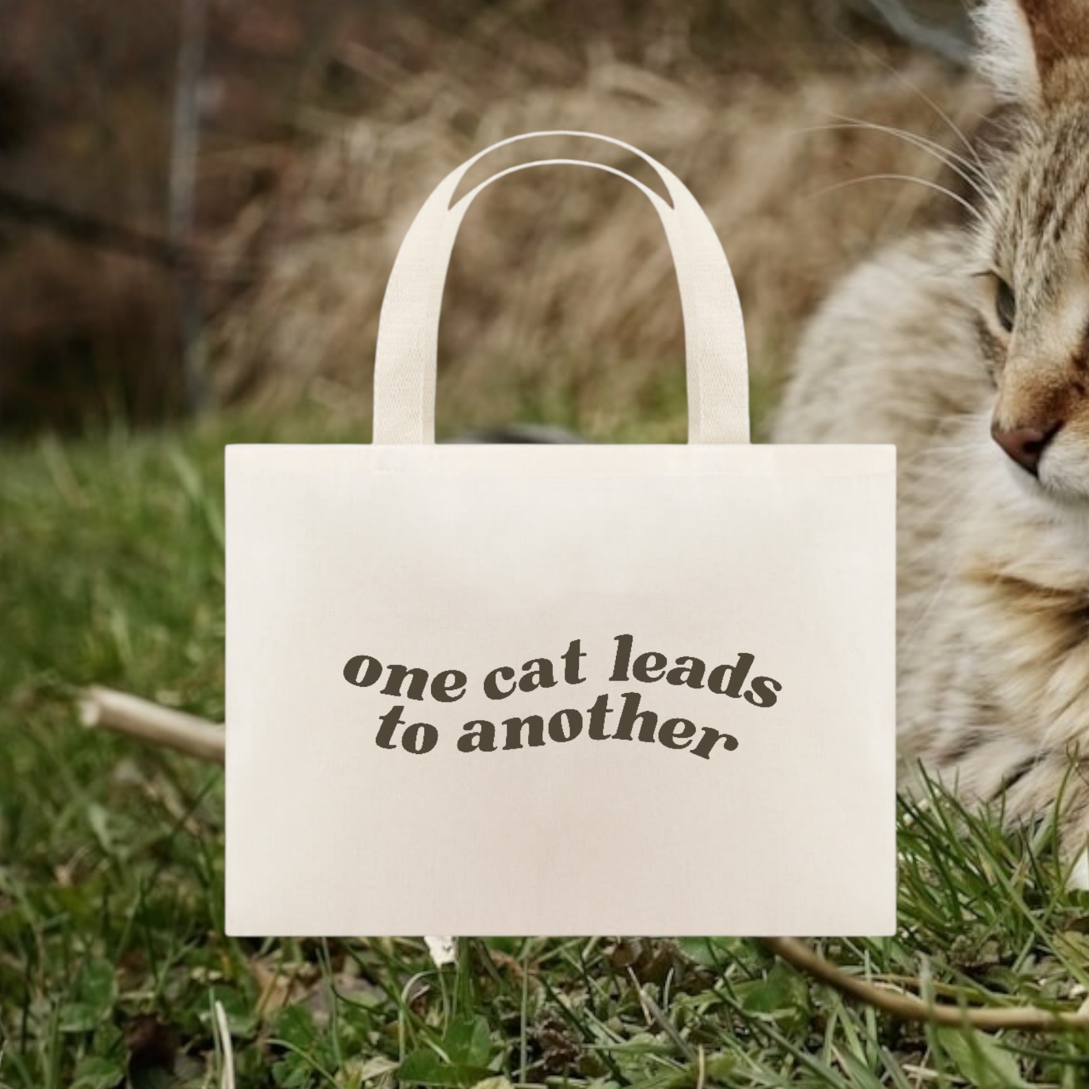 ecobag • one cat leads to another