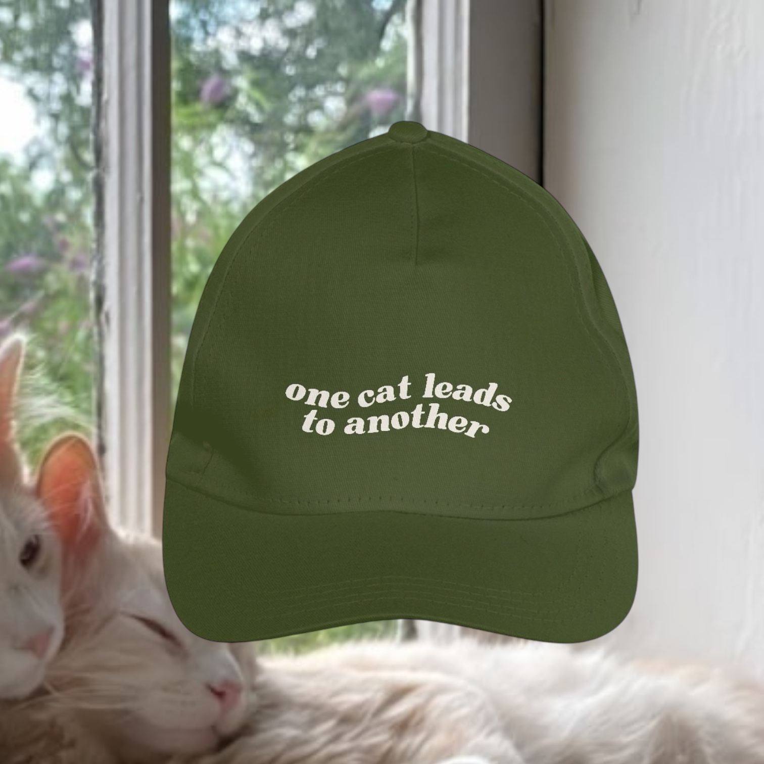 boné  • one cat leads to another