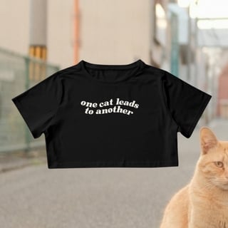 cropped - one cat leads to another