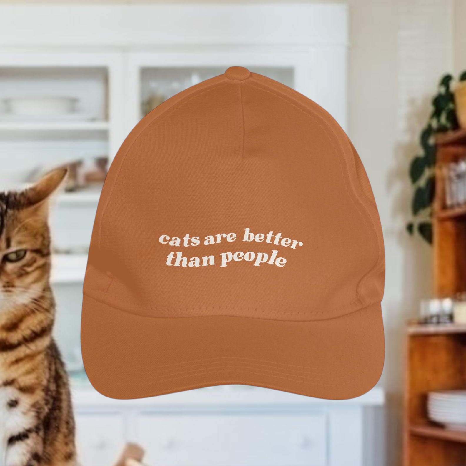 Nome do produto: boné  • cats are better than people