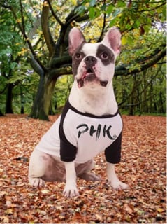 Dog-Shirt Preta PHK Art
