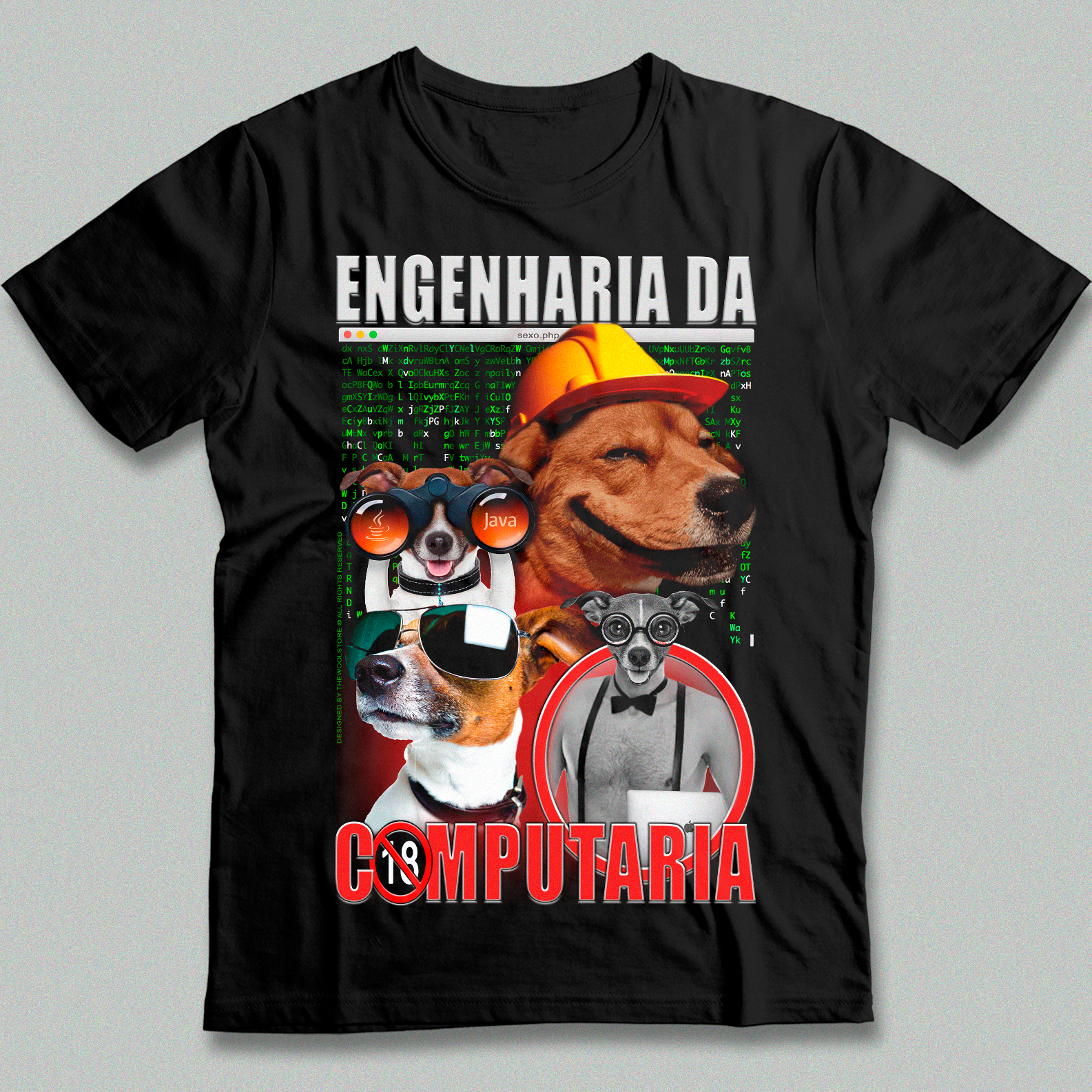 Engenharia da Computaria