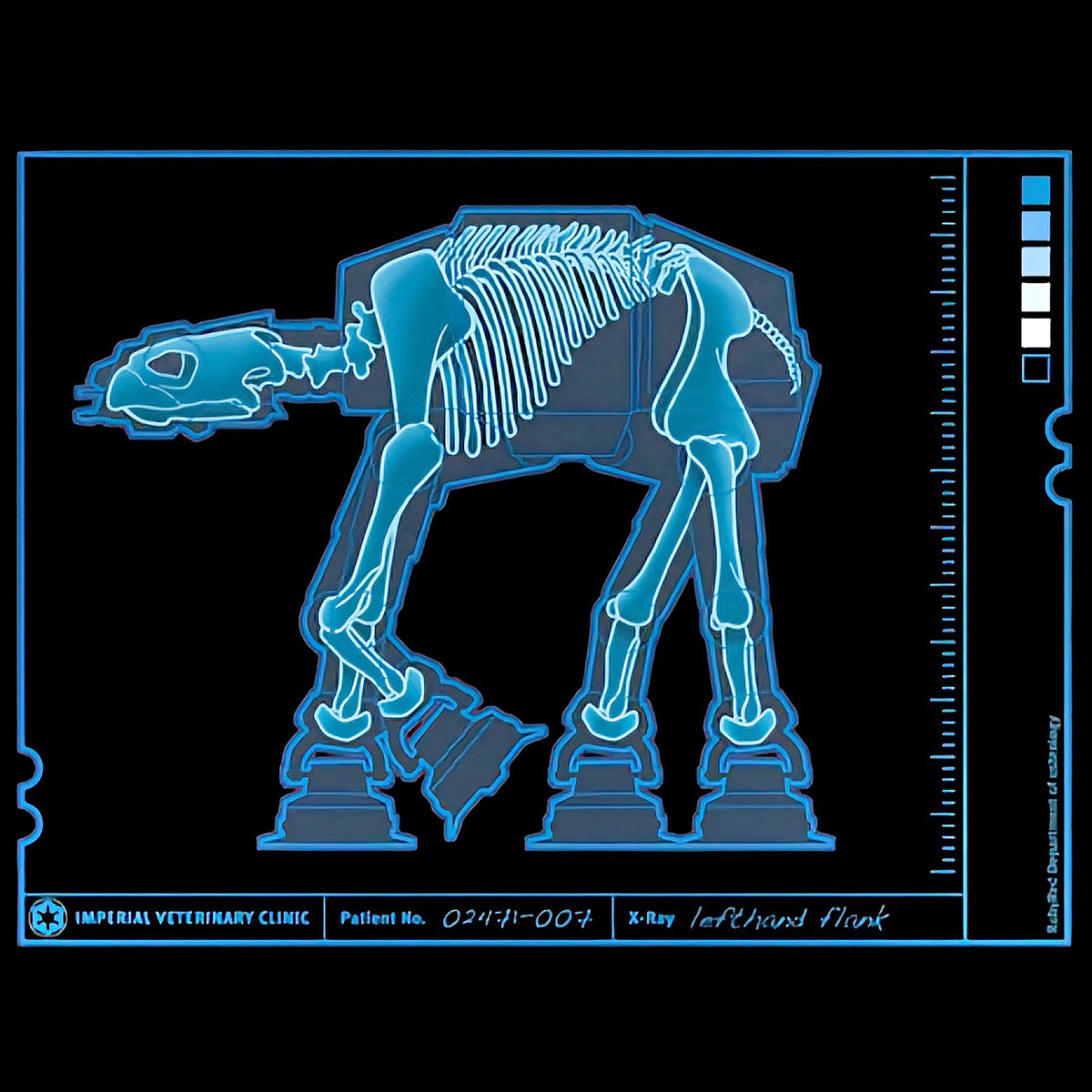 Nome do produto: AnAT-ATomia
