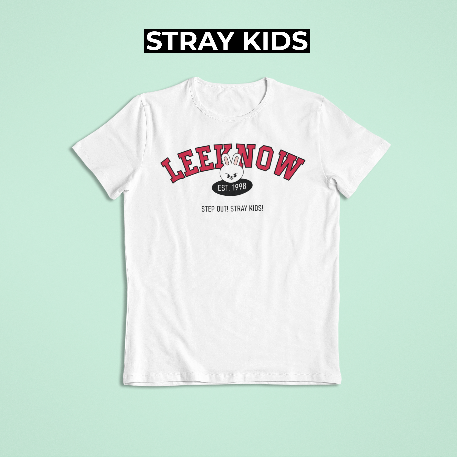 Nome do produto: Camiseta LEEKNOW - STRAY KIDS