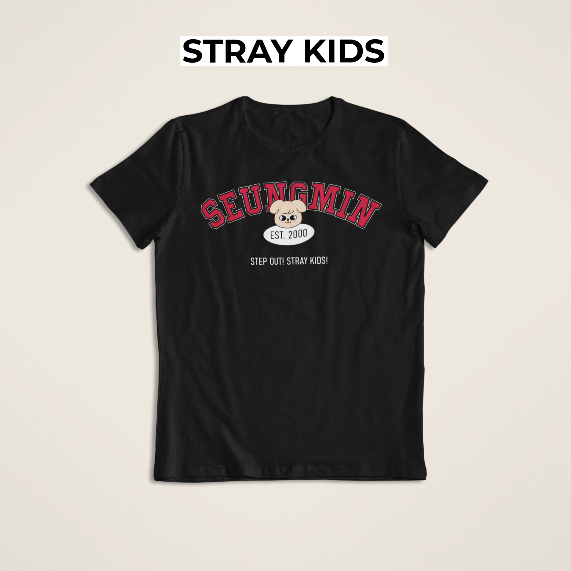 Nome do produto: Camiseta SEUNGMIN - STRAY KIDS