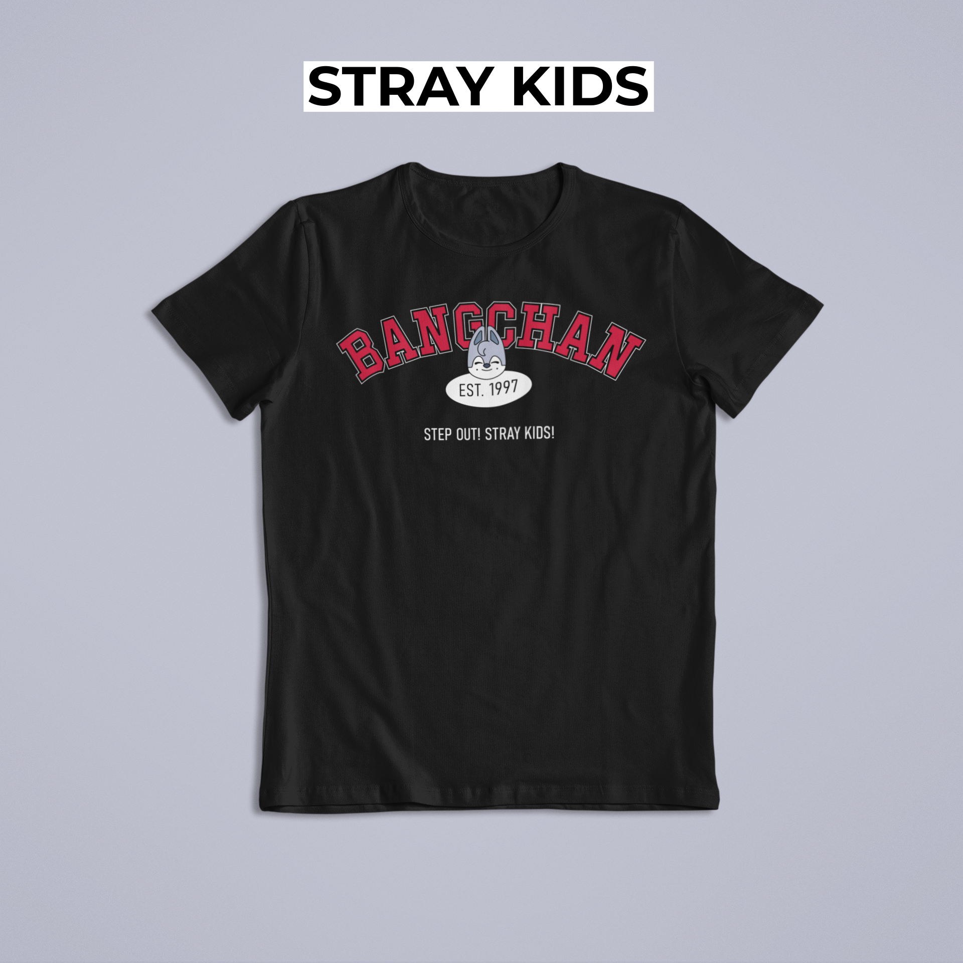 Nome do produto: Camiseta BANGCHAN - STRAY KIDS