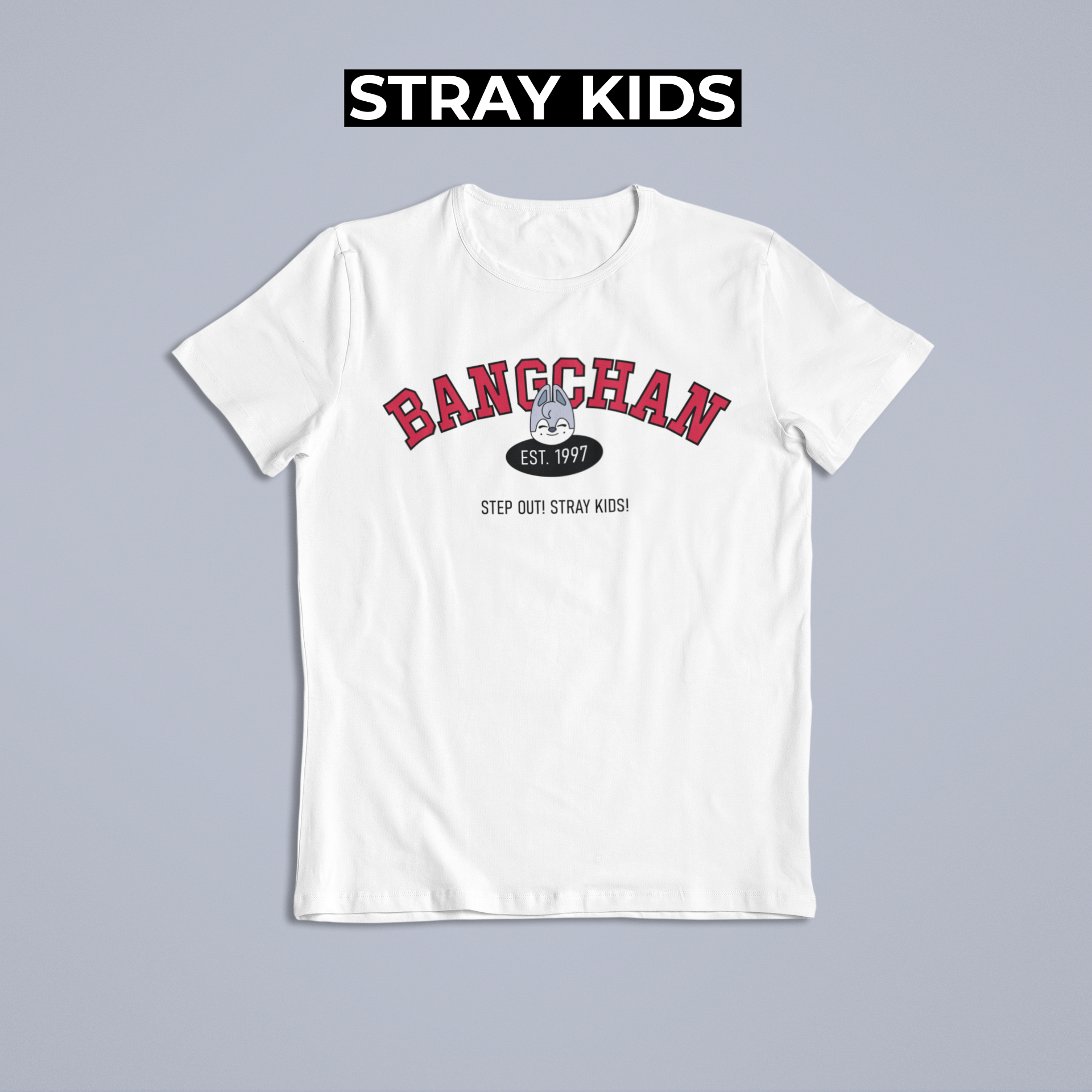 Nome do produto: Camiseta BANGCHAN - STRAY KIDS
