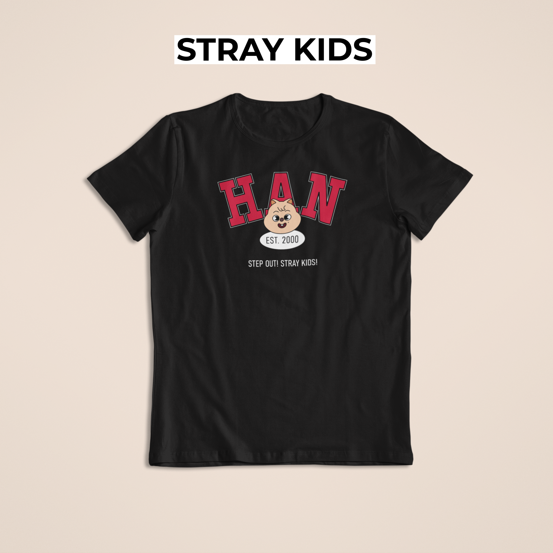 Nome do produto: Camiseta HAN - STRAY KIDS