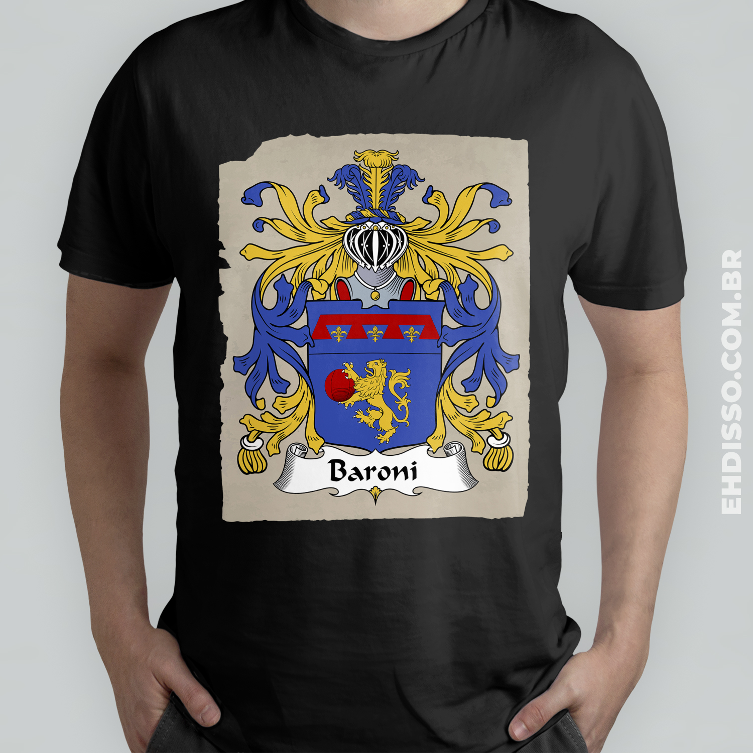 Brasão Família Baroni Origem Historia Camiseta Sobrenome