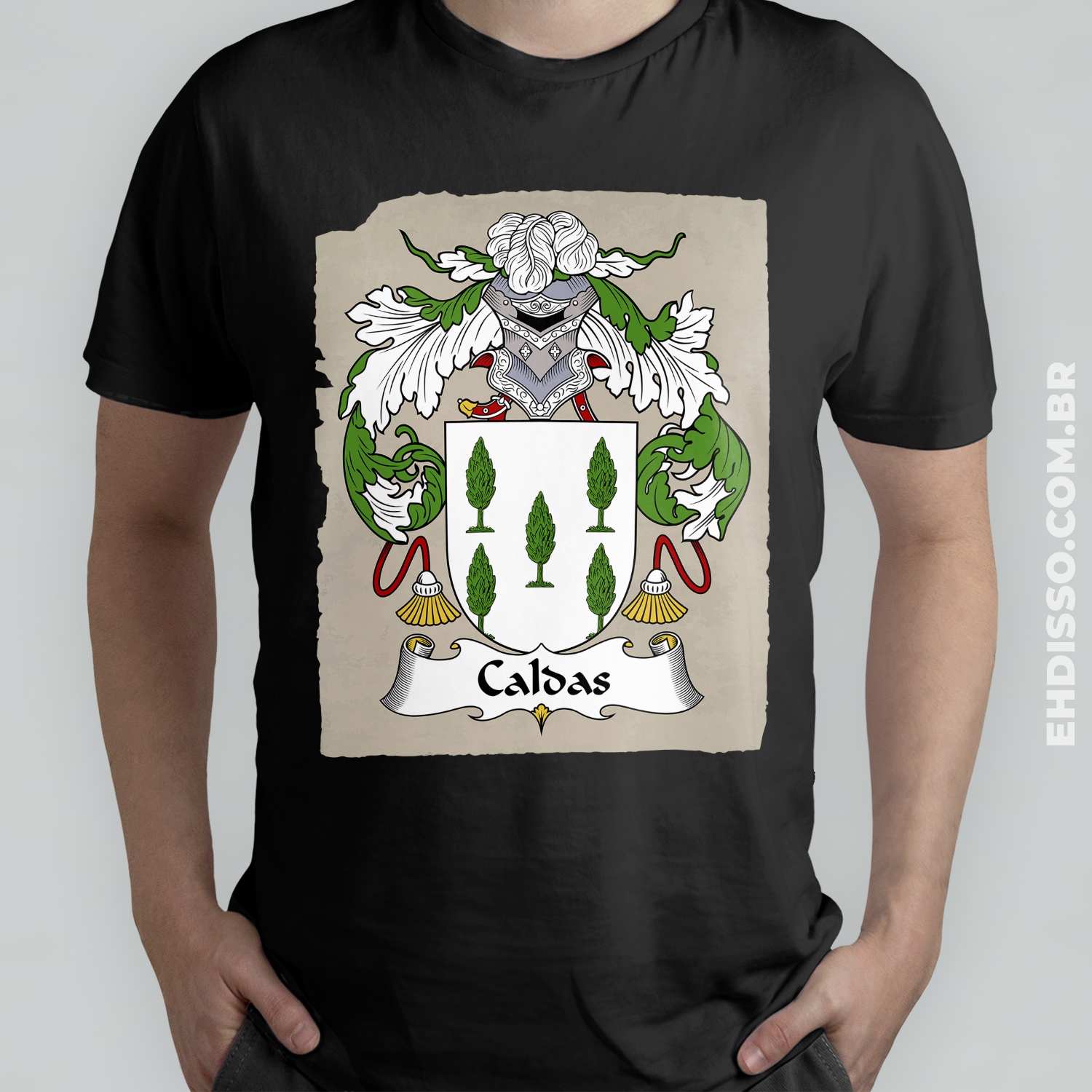 Brasão Família Caldas Origem Historia Sobrenome