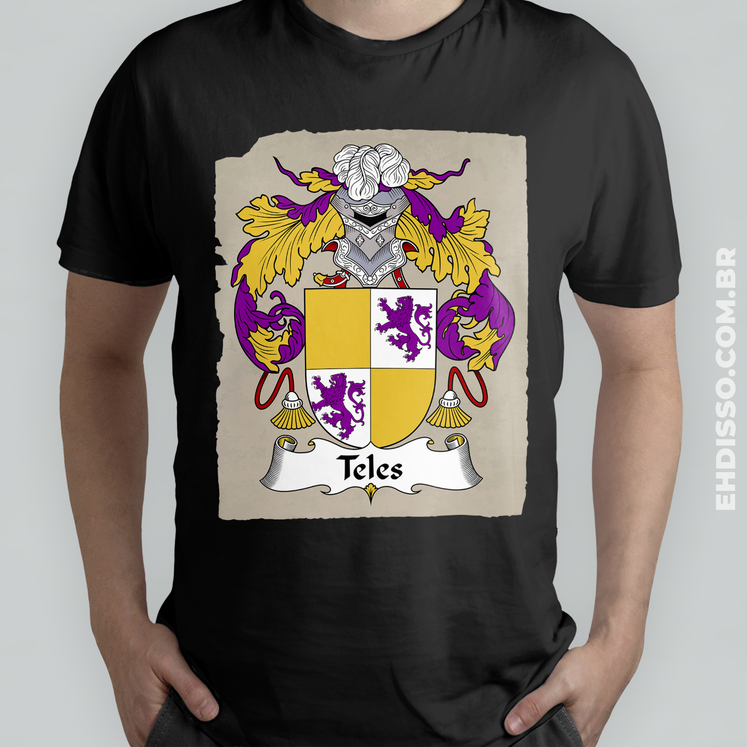 Brasão Família Teles Origem Sobrenomes Historia