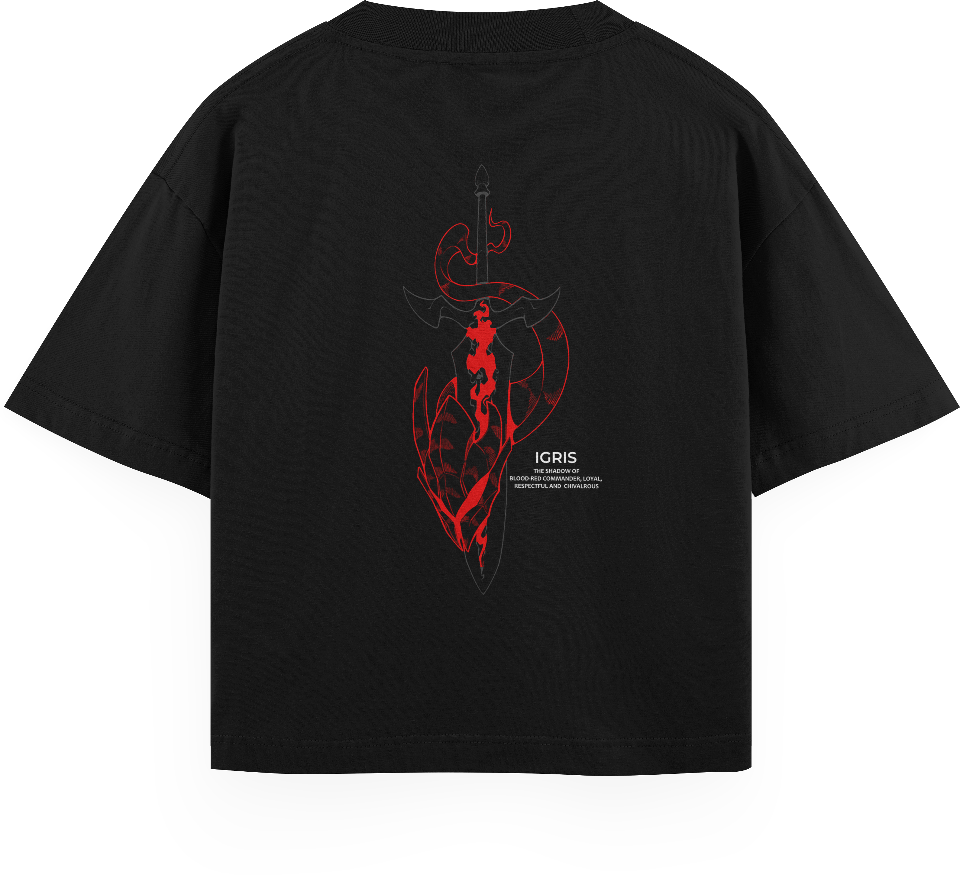 Nome do produto: Oversized Heavy Igris