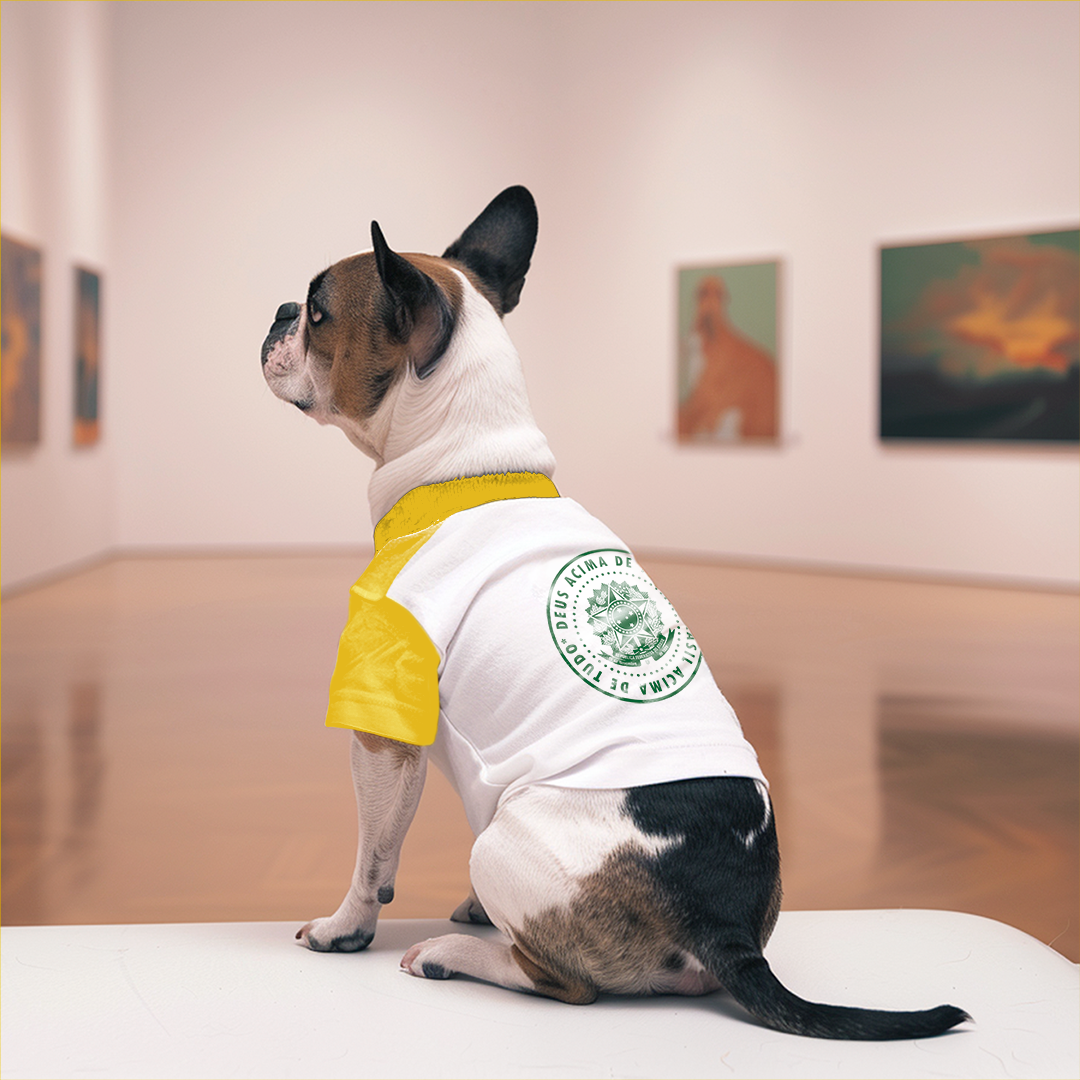 Nome do produto: T-Shirte Pet Dog Deus Acima de Todos