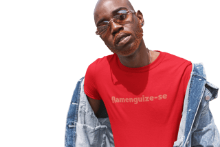 T-Shirt Seja Flamengo