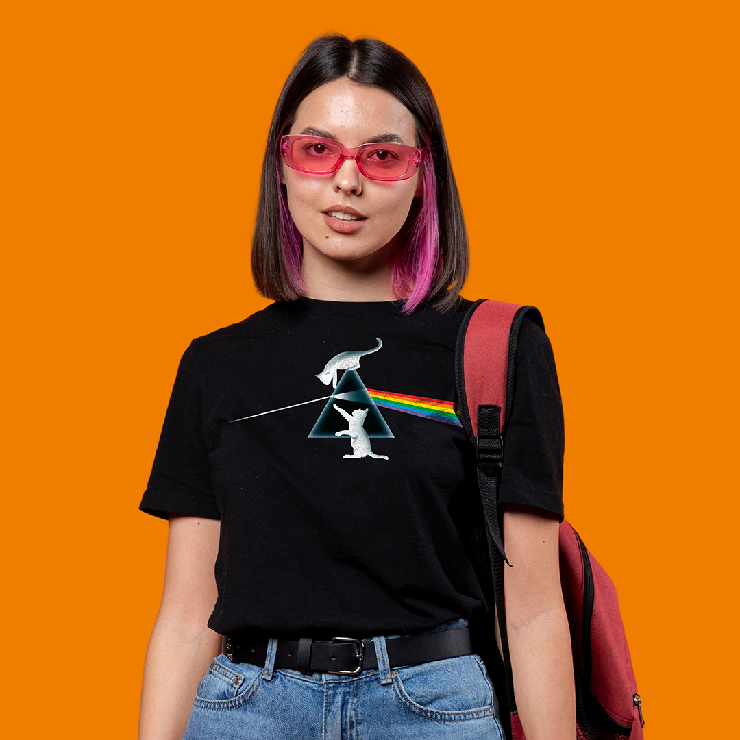 PINK FLOYD - DARK SIDE OF THE CAT