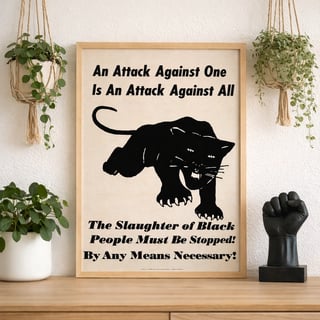 Pôster - O Partido dos Panteras Negras