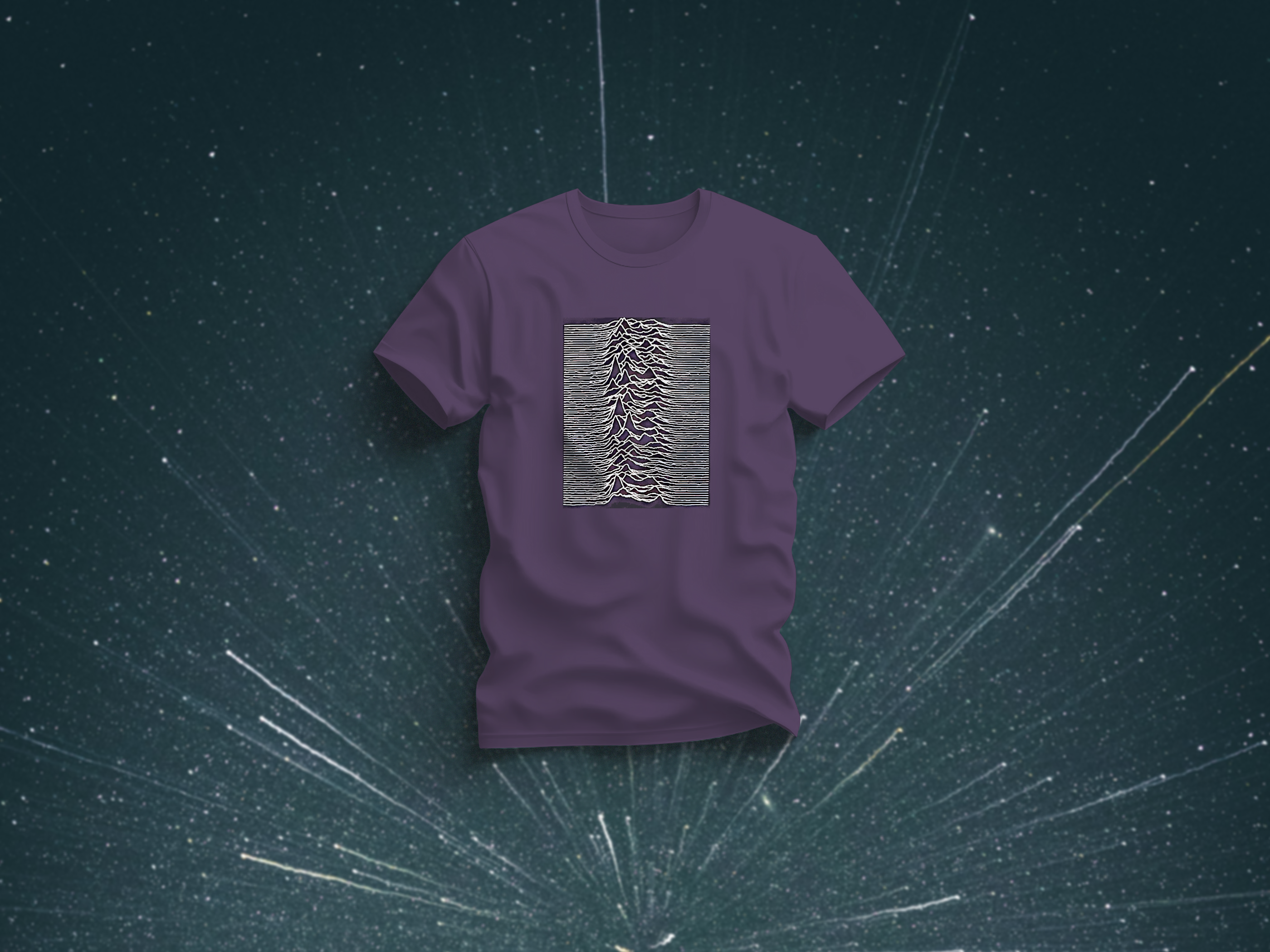 Unknown Pleasures (unissex)