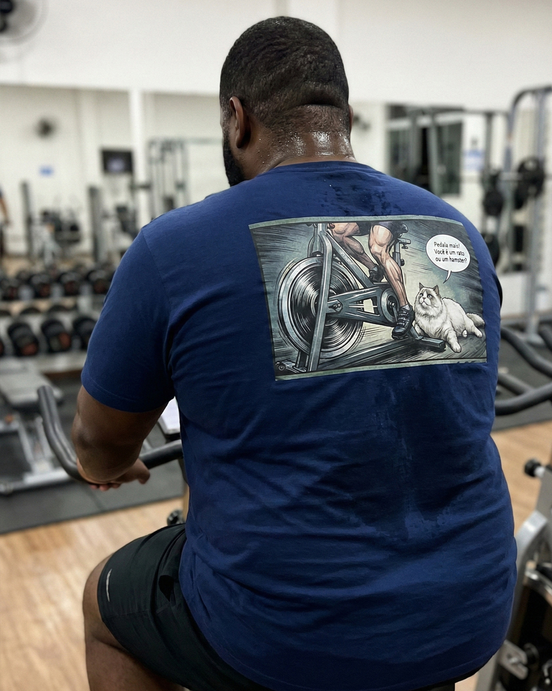 Você é um rato (de academia) ou hamster?