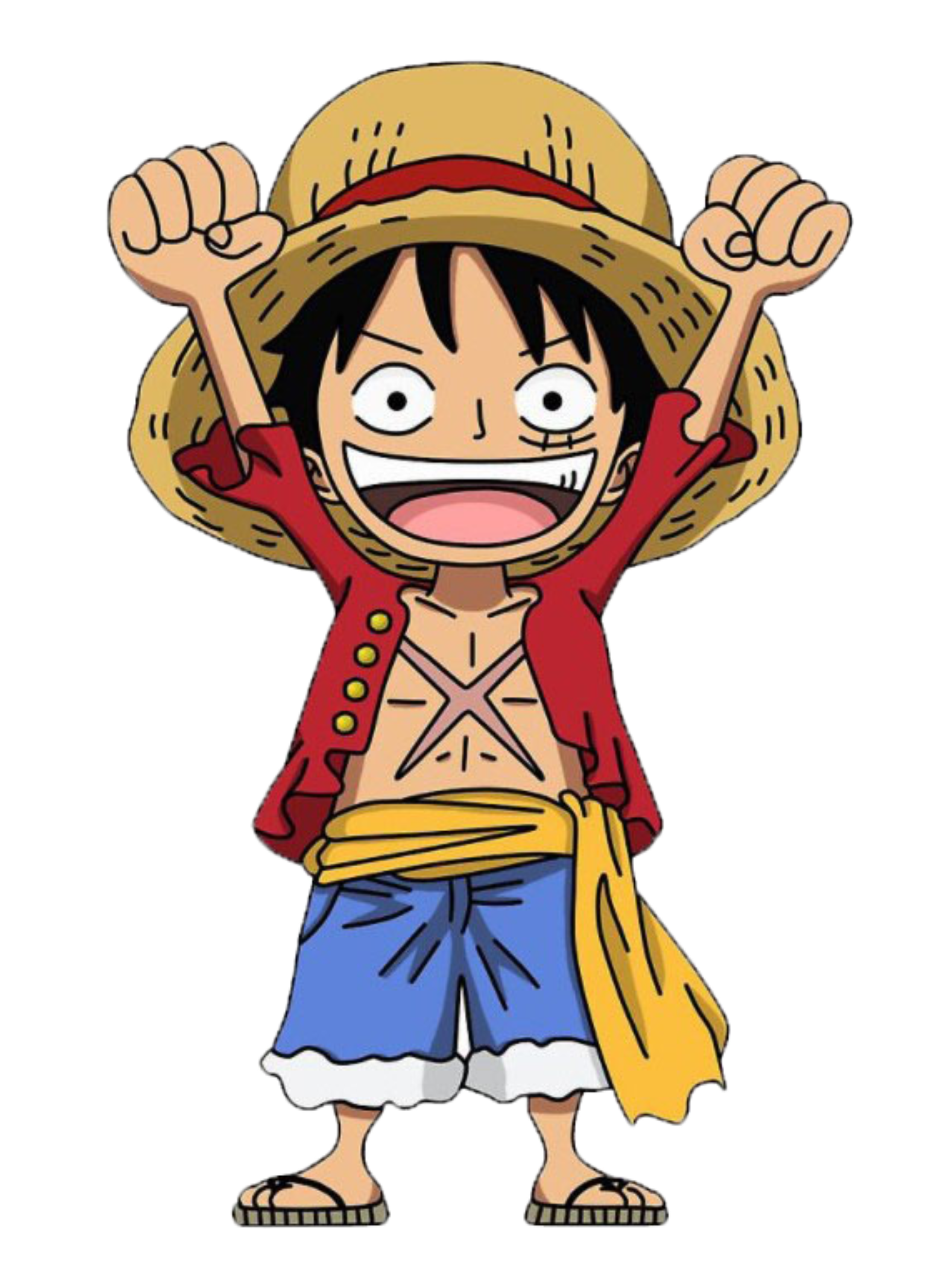 Nome do produto: One Piece - Infantil (2-8)